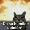 * Da su humilde opinión*