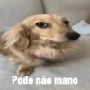 Pode não mano