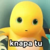 knapa tu