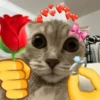 🐈‍⬛🐱🧶 GATOS | CATS 🧶🐱🐈‍⬛ 18
