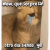FuNnY MeMes con texto ✨ 12