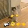 FuNnY MeMes con texto ✨ 13