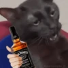 🐈‍⬛🐱🧶 GATOS | CATS 🧶🐱🐈‍⬛ 19