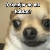 FuNnY MeMes con texto ✨ 15