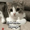 FuNnY MeMes con texto ✨ 17