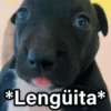 *Lengüita*