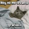 FuNnY MeMes con texto ✨ 19