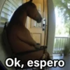Ok, espero