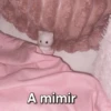 Ternurines pa tu vida 🐰🍓 6