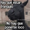 Memes con Frases #2🧠 5
