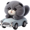 Grey Cat 💖 C☆ 5
