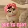 💞🐈MICHIS 😻✨ 6