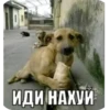 кьюти герл эмпайр 7