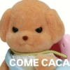 🛝🤸🏻 MEMES 12 🤸🏻‍♀️🛝 6