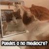 Memes con Frases #1🧠 5