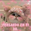 💞🐈MICHIS 😻✨ 7