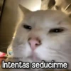 Memes con Frases #2🧠 8