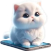 Gatos traviesos😹💞2🇵🇪Clásica 8