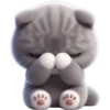 Grey Cat 💖 C☆ 9