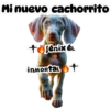 Mayo 2025♣3 13