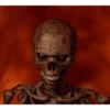 Brainrot 2 14