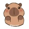 capibara 5