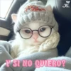 💞🐈MICHIS 😻✨ 12