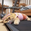 Funny Gym 💪🏼 9