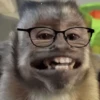 Monitos Random! 🐒 5