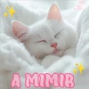 💞🐈MICHIS 😻✨ 13