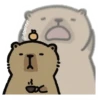 capibara 6