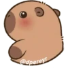 capibara 7