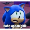 Meme Sonic Lucu 6