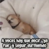 Memes con Frases #1🧠 8