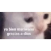 MICHIS 11