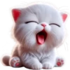 Gatos traviesos😹💞2🇵🇪Clásica 14