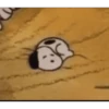 snoopy 8