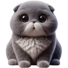 Grey Cat 💖 C☆ 15