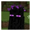 minecraft 11