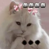 Gatos memes random🐈‍⬛🐱 7
