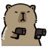 capibara 9