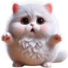 Gatos traviesos😹💞2🇵🇪Clásica 20