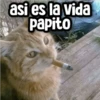 Memes con Frases #1🧠 10