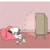 snoopy 14