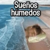 Memes con Frases #2🧠 17