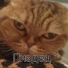 My memes 14