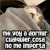 Memes con Frases #1🧠 11