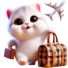 Gatos traviesos😹💞2🇵🇪Clásica 21