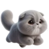 Grey Cat 💖 C☆ 22