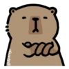 capibara 10